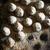 Sesame Ball