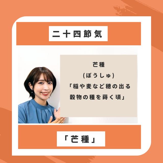 二十四節気「芒種」種蒔きの季節に新しいことに挑戦してみませんか？