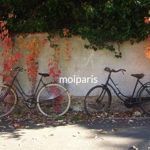 秋晴れマルシェ、古い自転車にのって