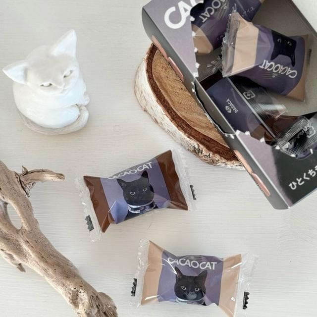 【セブンイレブン】猫好きココロを射抜いてくるパッケージ♡CACAOCATのひとくちチョコレートアイス