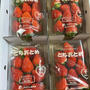 福島県産とちおとめと福島県産あんぽ柿が届きました。