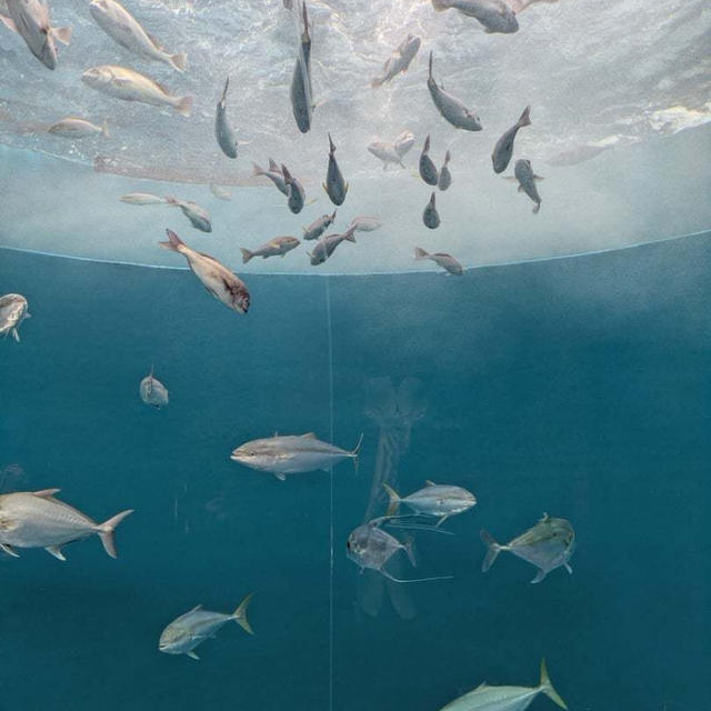 【香川】四国水族館