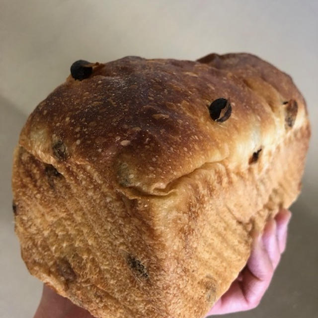 いつもの食パン＋レーズン