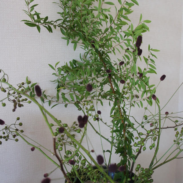 季節のお花とタラスパ。