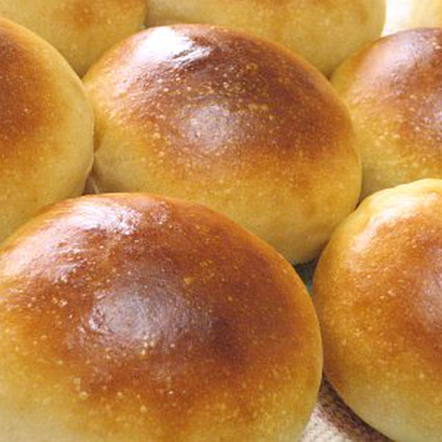 牛乳たっぷりのプチパン（ヨーグルト種）