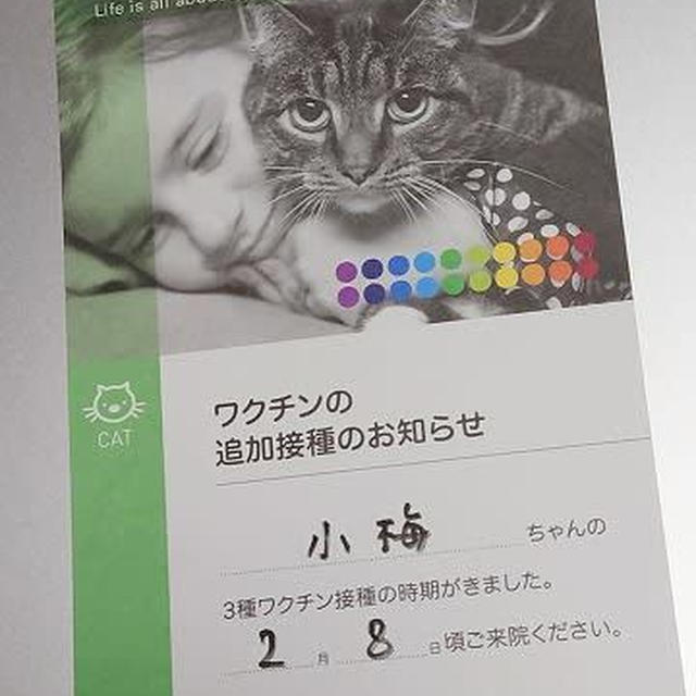 遅くなったけど…