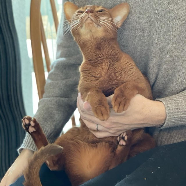 お膝抱っこが嬉しいひめちゃん