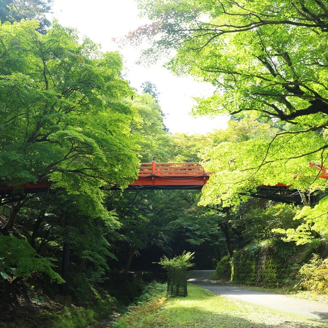 兵庫県 パワースポット養父神社 農耕の神様を祀る 朱色の橋と紅葉の季節は景観美が楽しめます By Tomo3043さん レシピブログ 料理ブログのレシピ満載