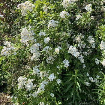 あー、毎日がんばって生きてる