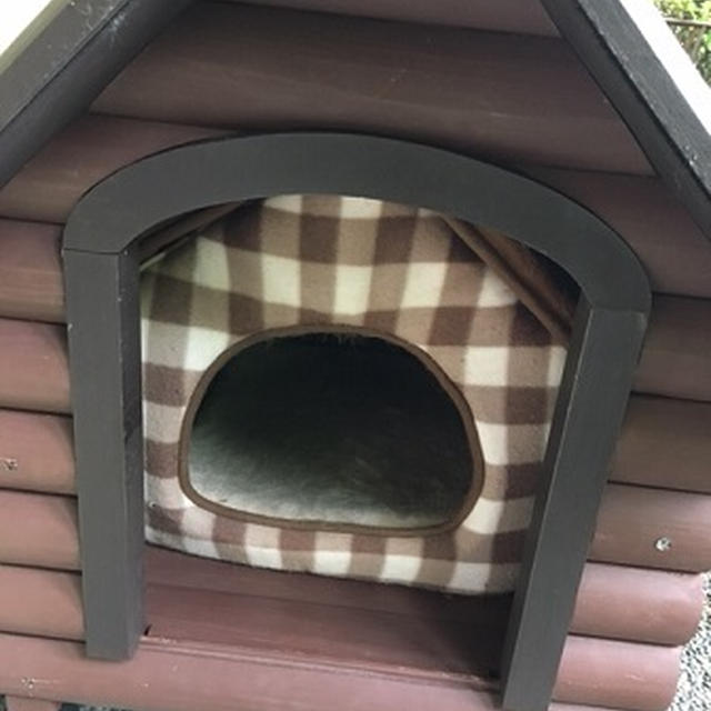 クリームシチューでお昼