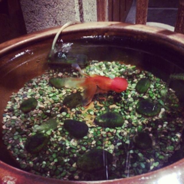 ほっこり芦屋土山人☆