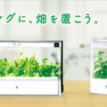 室内で菜園生活を実現 家庭用LED水耕栽培キットGreen Farm