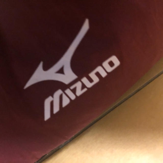 ミズノ　ルームシューズ 愛用中  ちょこっと近況　1月は長かったような短かったような