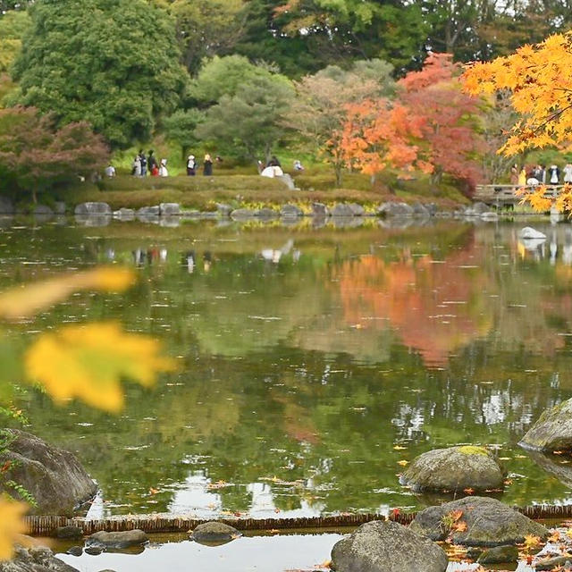 昭和記念公園の日本庭園が素敵でした