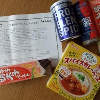 スパイス入りハンバーグ
