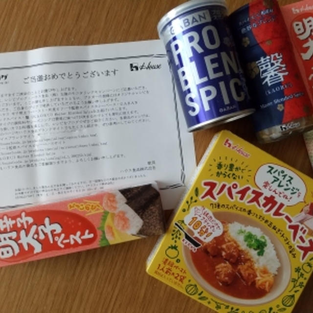 スパイス入りハンバーグ