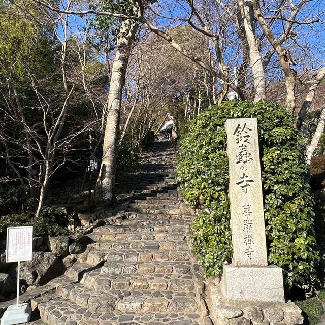ひとつだけ願い事を叶えてくれる… 鈴虫寺へ
