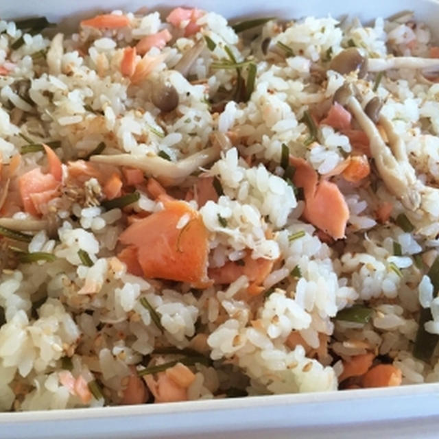 ランチに鮭とサバのご飯♪