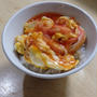 大人のカニカマで天津飯