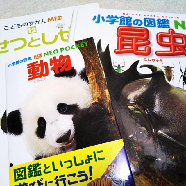 BOOKOFF☆図鑑を100円でゲット