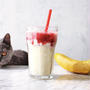 Amasake Yogurt