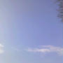 morning♪