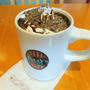 TULLY'S COFFEE タリーズコーヒー：チョコレート＆抹茶モカ