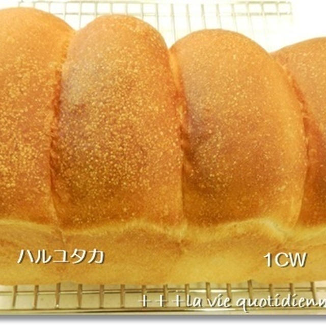 粉違いの山食の焼き比べ / クックパッドニュースに掲載♪