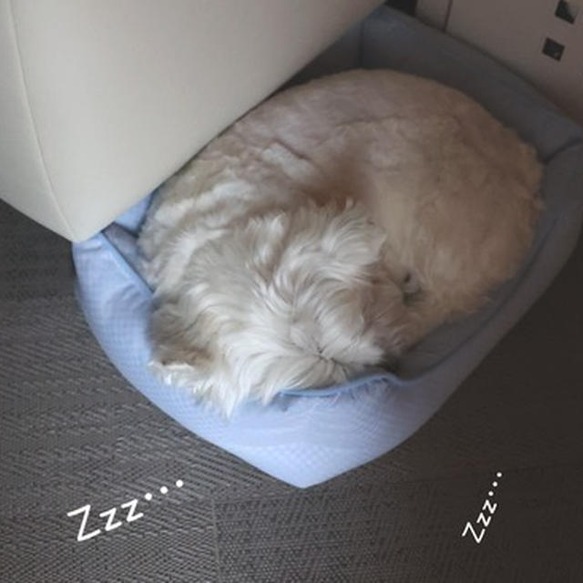 朝起きたら…