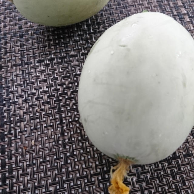 メロンのハナクソ？