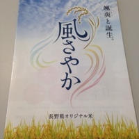 長野県オリジナル米「風さやか」体験イベント参加しました♪