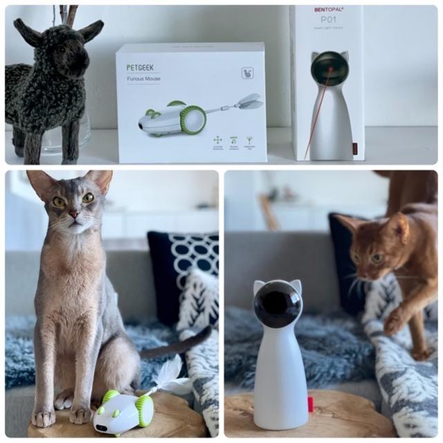 【PR】ねこ夢中♪自走式ネズミロボットと猫型レーザーのおもちゃ