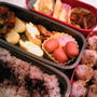 息子娘お弁当