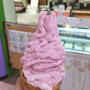 フレッシュないちご、メロンのソフトクリーム メロンジュースが楽しめる 七城メロンドーム