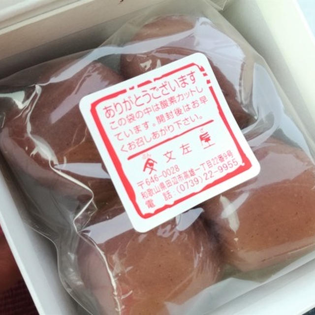 今日のあんこ#99　上品な梅の羊羹「文左」の古城の梅【和歌山県】