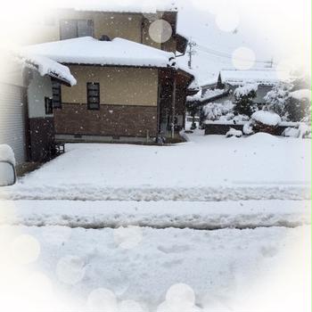 ご無沙汰です◡̈♥︎