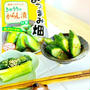 ニチノウ食品」さんの「おつまみ畑シリーズ」「きゅうりのからし漬の素」できゅうり辛子漬けと残り汁で小松菜お浸しからし風味できちゃう～～～～♪