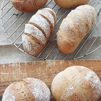 ホシノで全粒粉100％でパンは焼けるのか？（レシピあり）