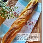 お知らせ？と 第六十四章　うこんバゲ