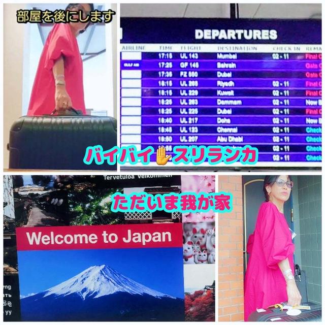 スリランカから帰国　素晴らしい還暦リスタートになりました　#今日1日を振り返ろう