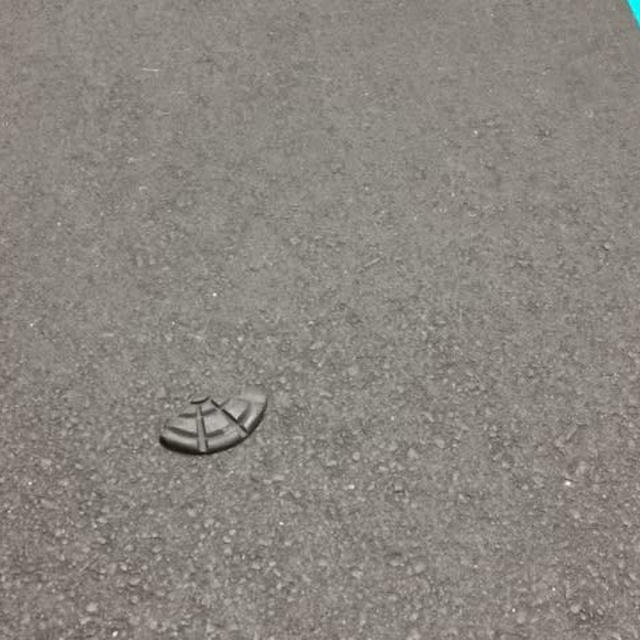 落とし物発見