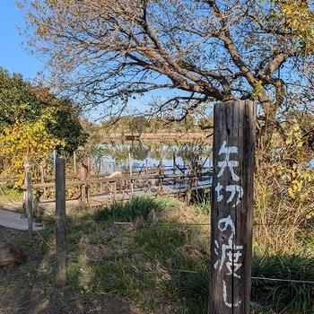 土曜日は俳句曜日　楽しくないことは避ける主義