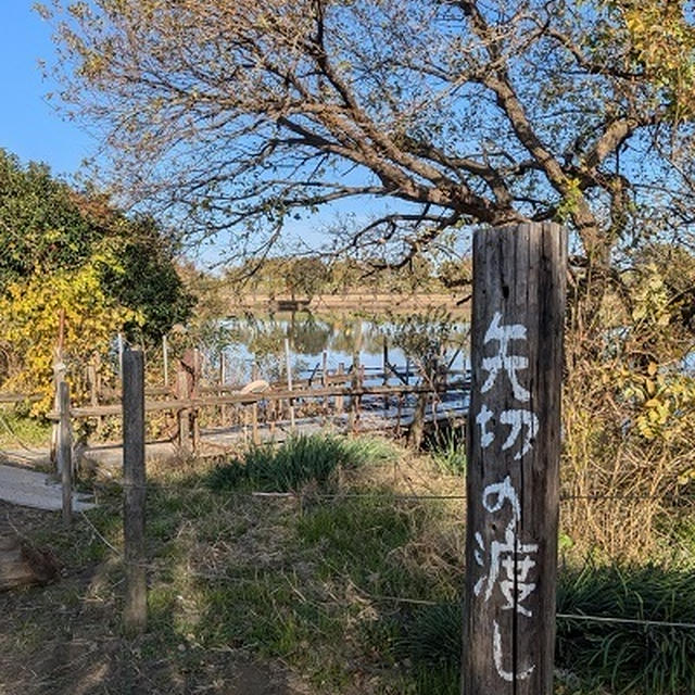 土曜日は俳句曜日　楽しくないことは避ける主義