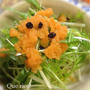 にんじんドレッシングとカリカリ梅で変身！いつもの野菜サラダ