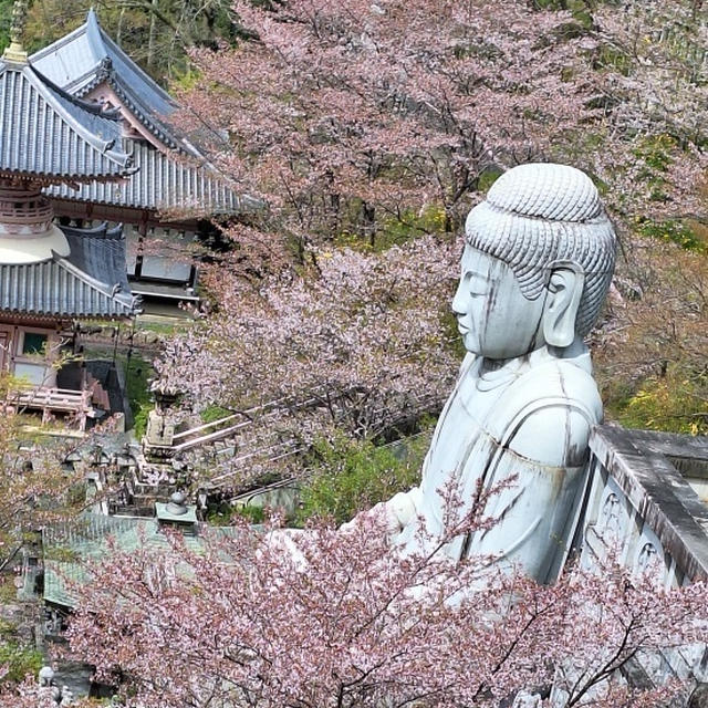 壷阪寺～高取城跡(時差投稿その3)