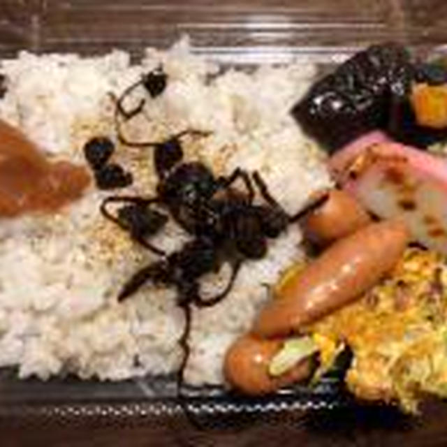 夫のお弁当