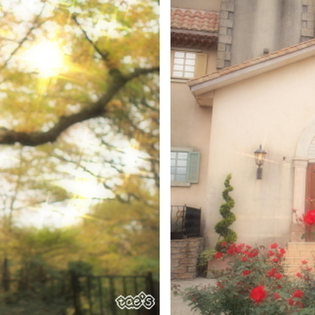 ☆　シティリビングさん × オリンパスさん　「女子カメラ部」10期生　カメラに夢中！ 続編♪ ただいま　写真展　開催中です☆