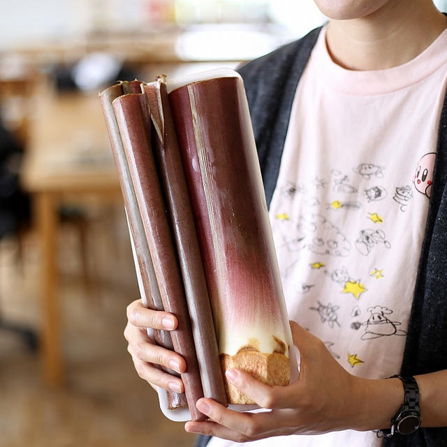 ずいきってどんな食べ物？芋のツルって聞いたけどちょっと違う？