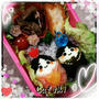 ゆで卵deひなまつりのお弁当☆