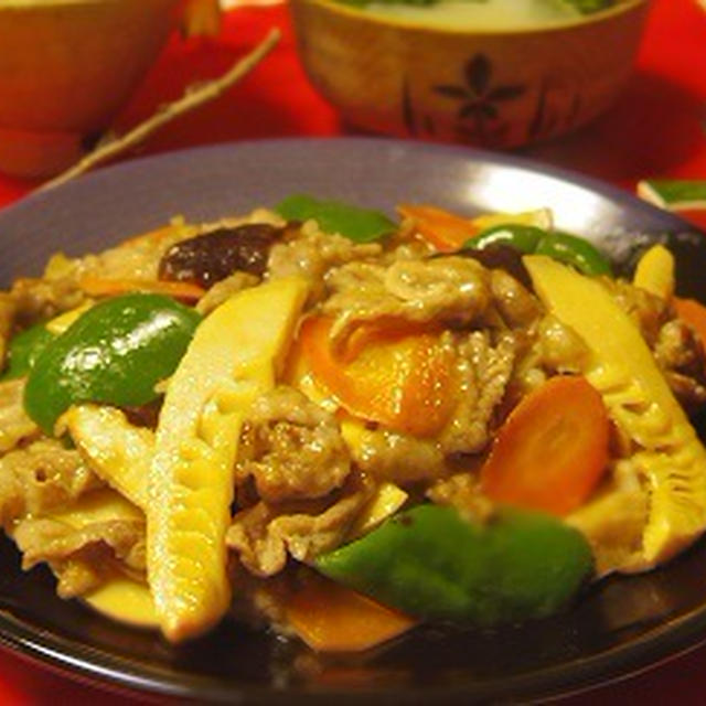 肉野菜炒め　　　母の初ツタヤ